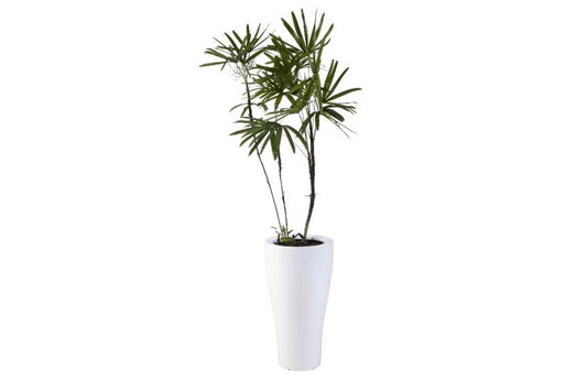 Athena High Gloss white vase, with a self watering and drainage system within. A lovely planter pot for home interiors .