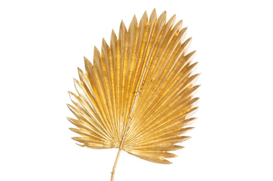 gold palm leaf preserved
